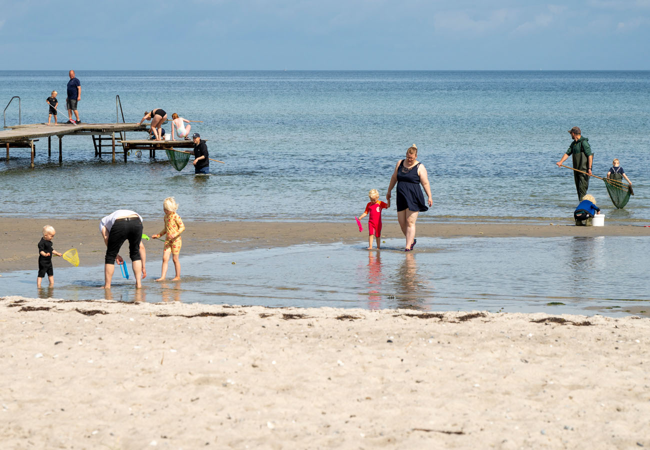 tilbud-fjellerup-hestehaven-strand